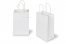 Paper carrier bags with twisted handles - white, 140 x 80 x 210 mm, 90 gsm | Bestbuyenvelopes.com