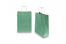 Paper carrier bags with twisted handles - green metallic, 220 x 100 x 310 mm, 90 gsm | Bestbuyenvelopes.com