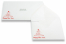 Christmas card envelopes - Wish | Bestbuyenvelopes.com