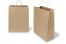 Paper carrier bags with twisted handles - brown, 320 x 140 x 420 mm, 100 gsm | Bestbuyenvelopes.com