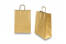 Paper carrier bags with twisted handles - gold, 260 x 120 x 350 mm, 90 gsm | Bestbuyenvelopes.com