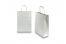 Paper carrier bags with twisted handles - silver, 220 x 100 x 310 mm, 90 gsm | Bestbuyenvelopes.com