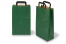 Paper carrier bags with folded handles - green, 220 x 105 x 360 mm | Bestbuyenvelopes.com