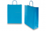 Paper carrier bags with twisted handles - blue, 320 x 120 x 410 mm, 100 gsm | Bestbuyenvelopes.com