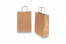 Paper carrier bags with twisted handles - bronze, 220 x 100 x 310 mm, 90 gsm | Bestbuyenvelopes.com