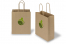 Paper carrier bags with twisted handles - printed example | Bestbuyenvelopes.com