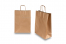 Paper carrier bags with twisted handles - bronze, 260 x 120 x 350 mm, 90 gsm | Bestbuyenvelopes.com