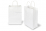 Paper carrier bags with twisted handles - white, 220 x 100 x 310 mm, 90 gsm | Bestbuyenvelopes.com